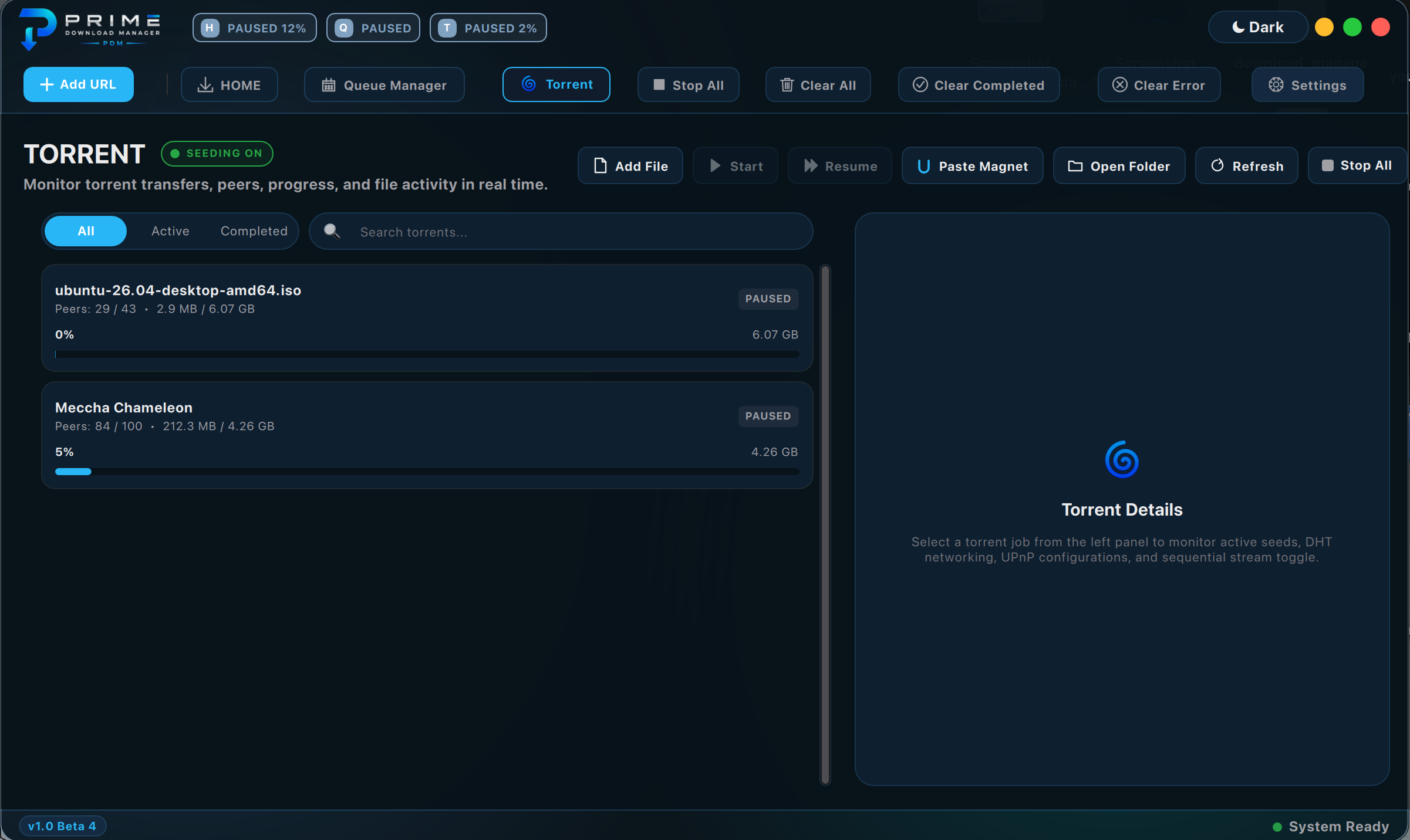 Torrents